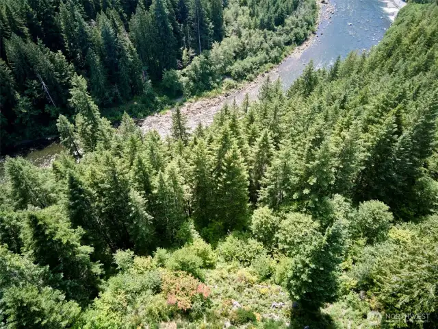 Aerial Views