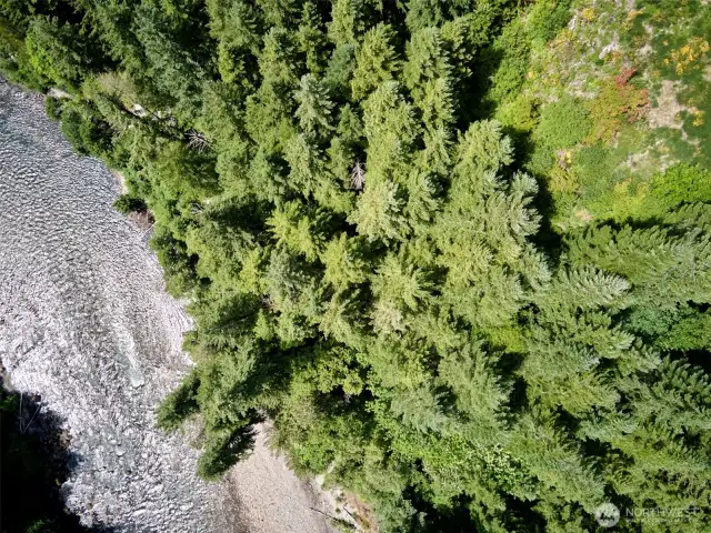 Lewis River