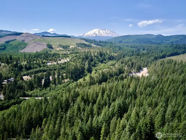 Aerial View of Mt. St. Helens