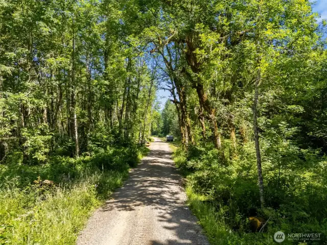 Looking North on private road standing near NE corner