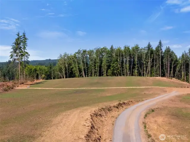 Looking West from about the midpoint of property.