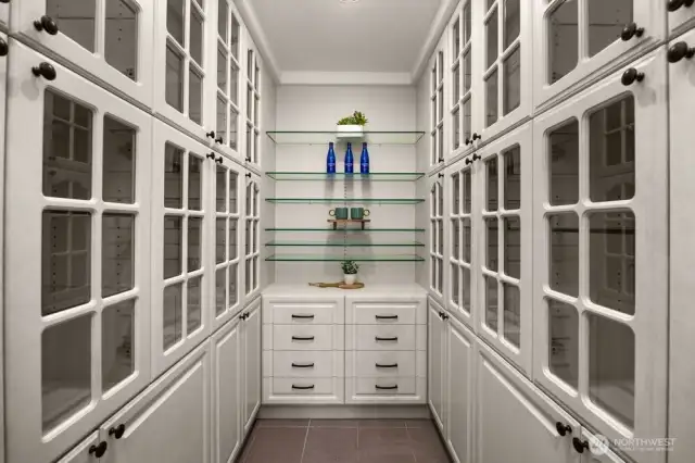 Large pantry with plenty of room food or extra small appliances