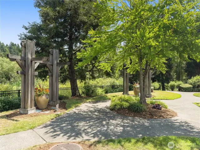 Meadowview community offering quiet streets, lush landscaping, and convenient access to trails and Bella Bottega Shopping Center