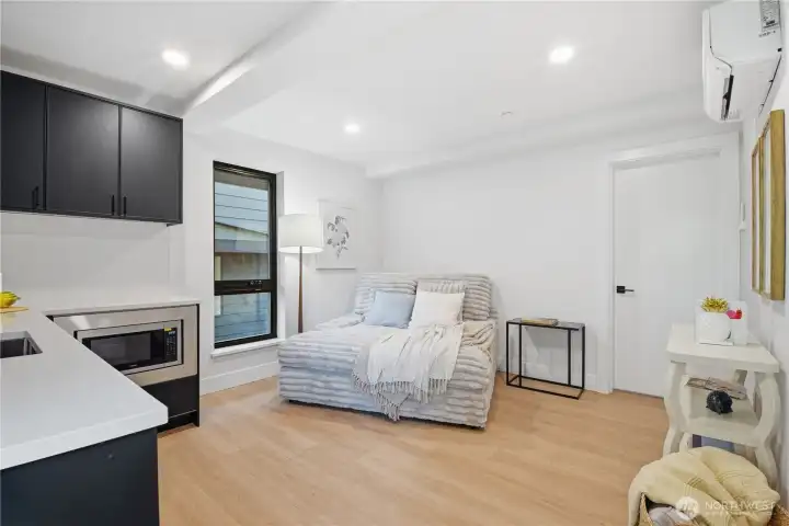 Lower Level Living Room & Kitchenette