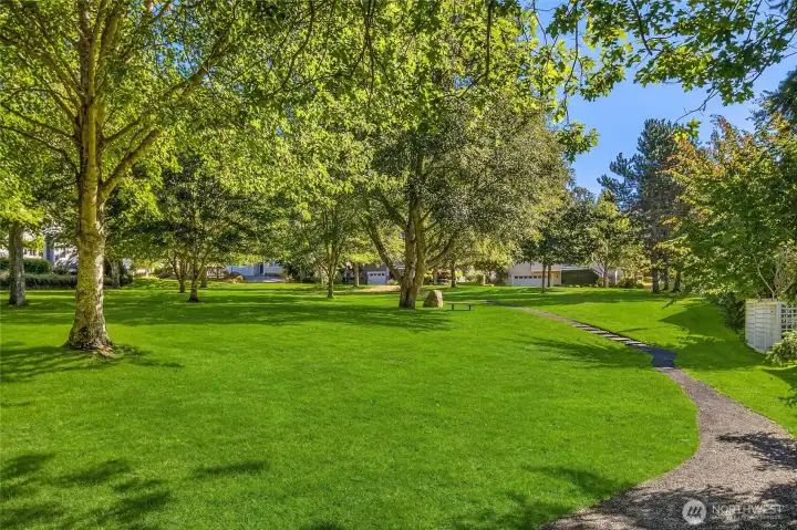 In the center of Hillandale is a lush green park with lovely shade trees.