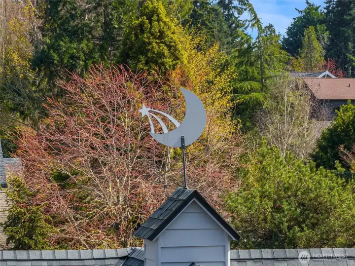 Each home in Hillandale has a custom designed Van Slyke weather vane. This one is most appropriately a moon & a star.