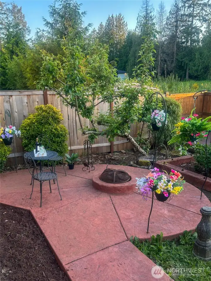The owners designed extensive concrete walkways and lovely firepit.
