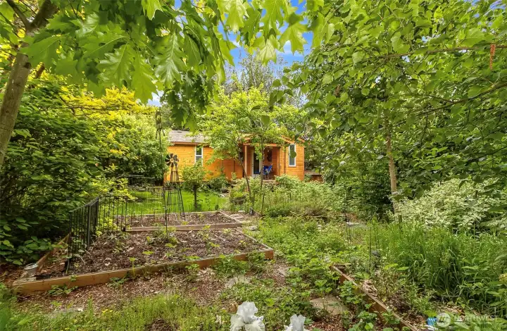 Veggie garden- fruit gardens- picture of the 400sq ft solar powered cabin Veggie garden- fruit gardens- picture of the 400sq ft solar powered cabin