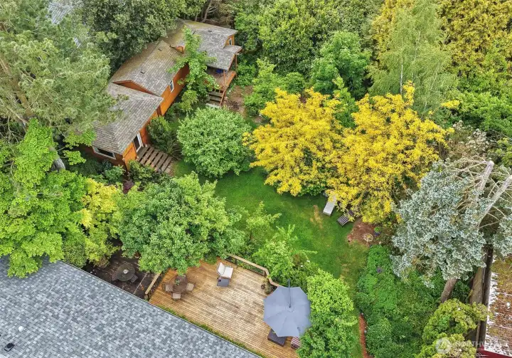 This hidden gem is a priceless sanctuary with all the foliage, decks, cottages, on a huge lot right in town! This hidden gem is a priceless sanctuary with all the foliage, decks, cottages, on a huge lot right in town!