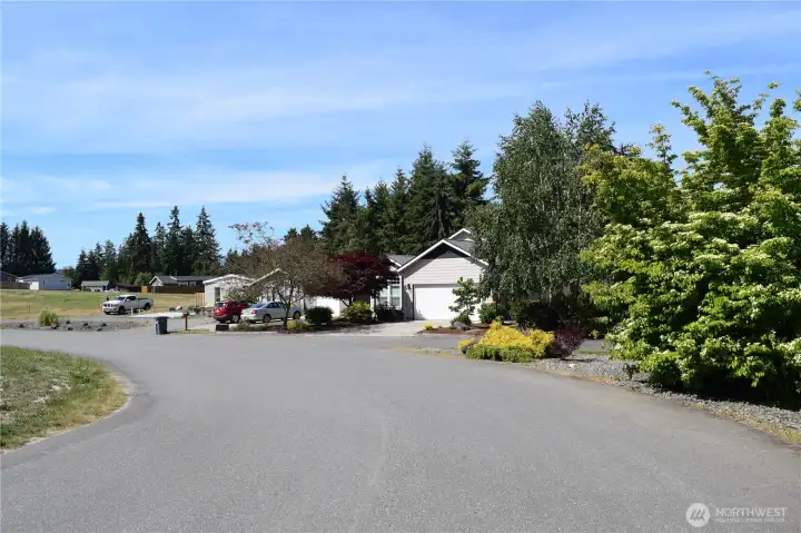 Neighborhood - Looking West