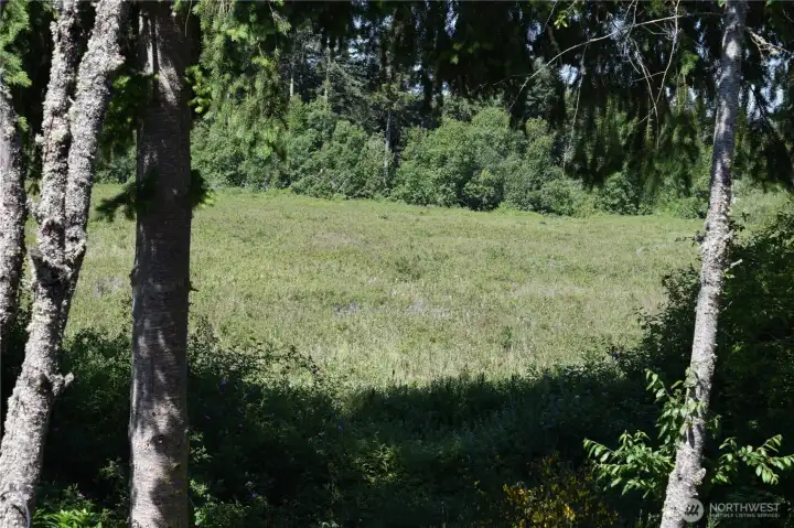 Wetland View