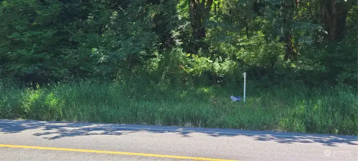 Trail up to pathway behind sign. Watch for nettles!