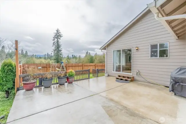 Back Patio