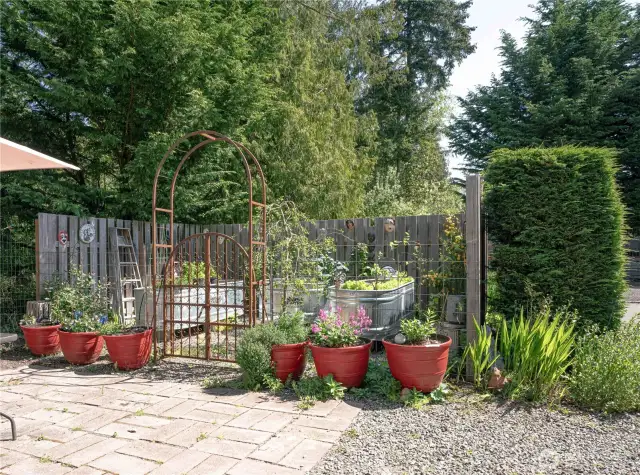 Established raised beds.