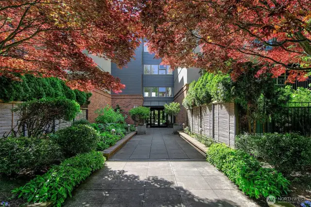 A lush entry with Japanese maples.