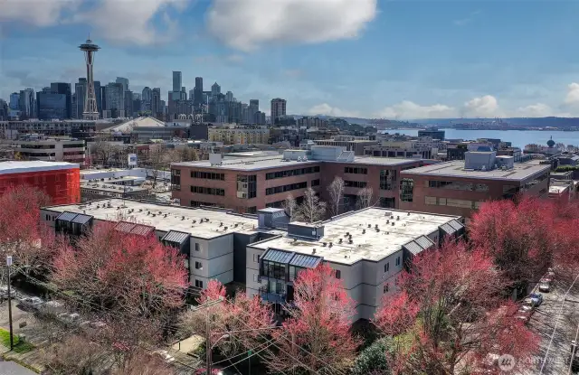 Easy access to the city.
