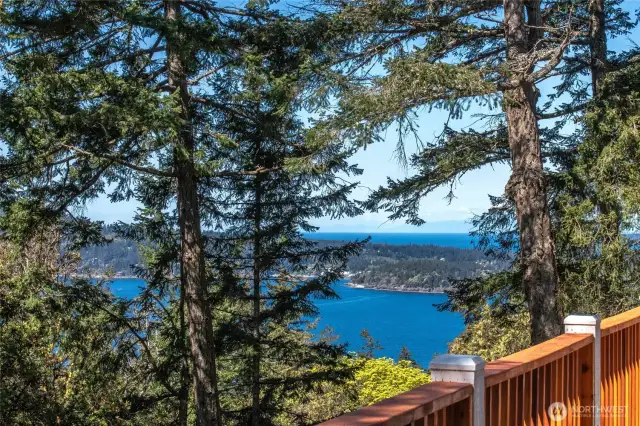View from deck toward Eastsound