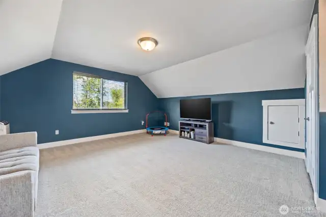 Massive flex room on 3rd floor with full bathroom!