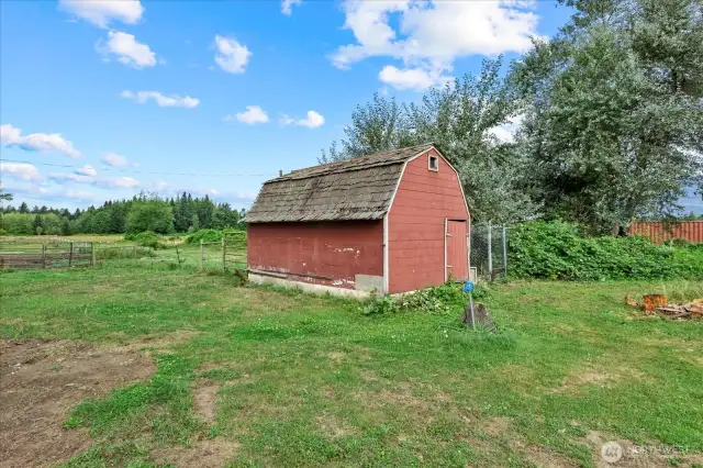 This shed is now a large chicken coop. Bring your chickens..
