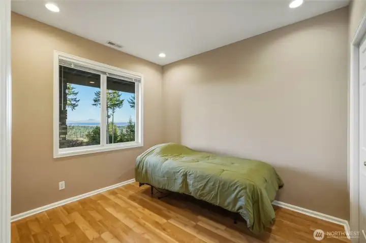 Lower Guest Flex 5th Room w/ View/Closet~
