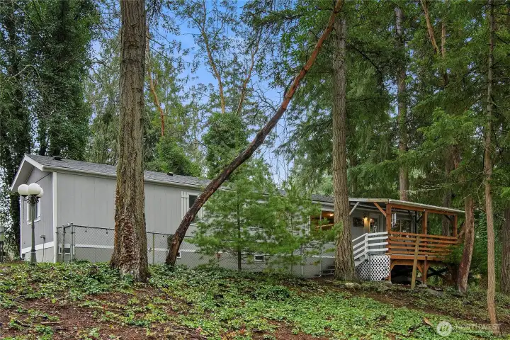 from the waters edge looking up to the house.