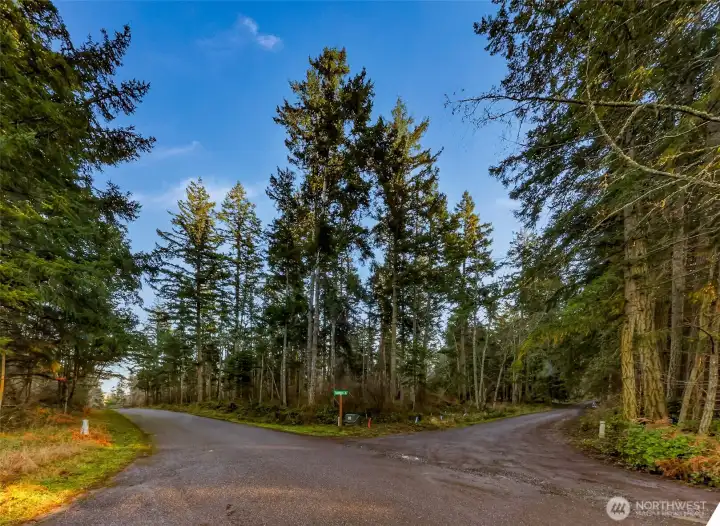 Northwest corner of subject property at corner of Lopez Sound Road and Suntides Lane.