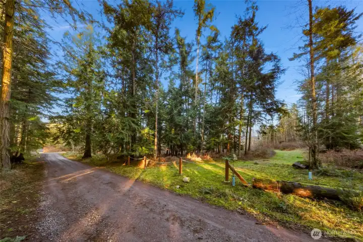 Looking north at entrance of property on Suntides Lane