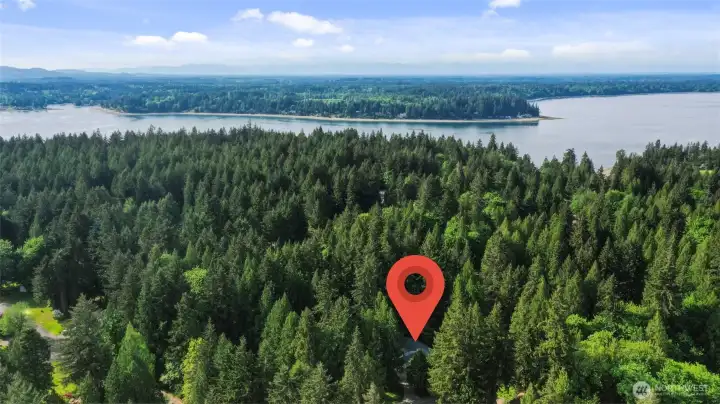 Aerial view of the proximity to Eld Inlet; just down the street is the neighborhood park and beach access!