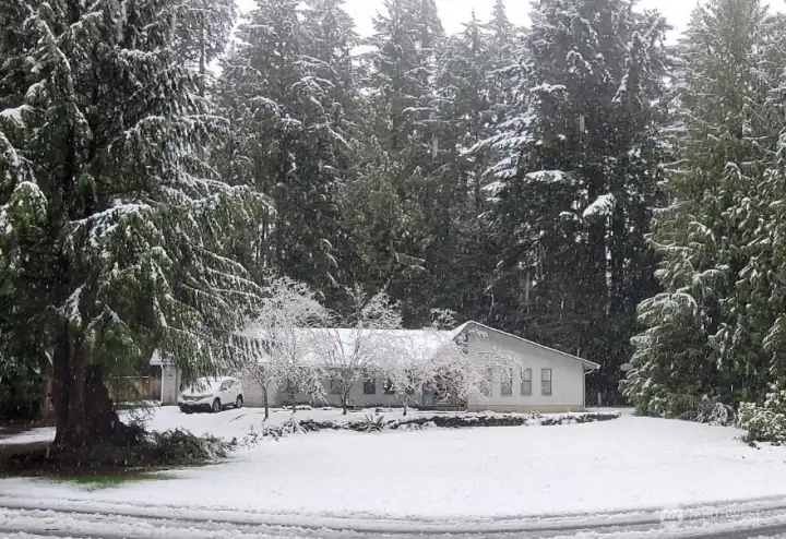 A winter wonderland when the PNW sprinkling of snowdust layers the evergreens!