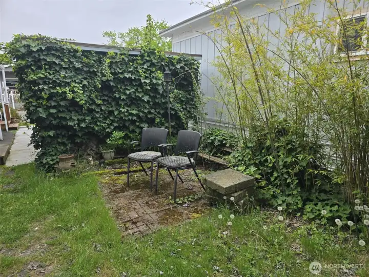 Back yard garden