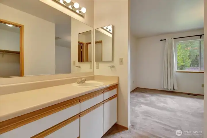 Medicine cabinet, large mirror, and plenty of counter space in primary bath