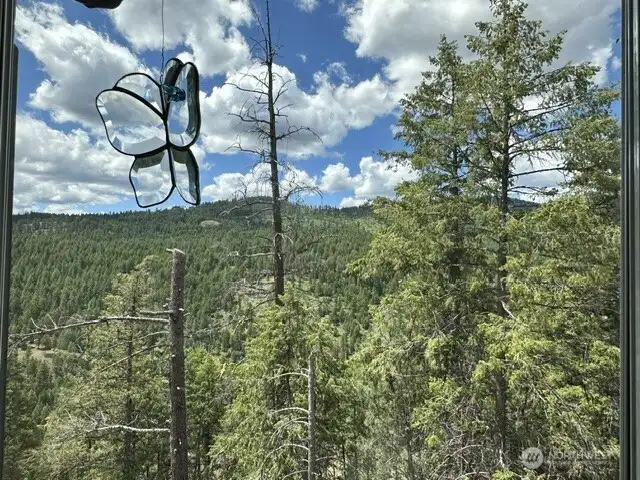 While I was there, I was treated to a visit from a Great Horned Owl, Mule deer, Wild Hares, Ravens, Gold Finches just to name a few of the species  of wildlife that I witnessed.