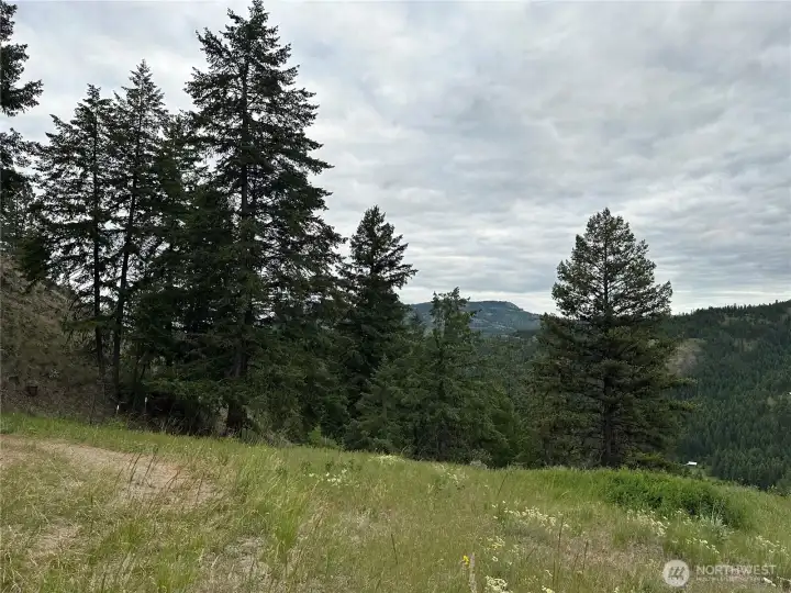View from the front deck looking east.