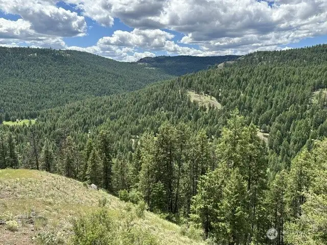 View looking southest from front deck.
