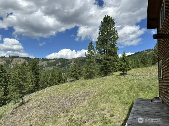 View from the front deck looking North.