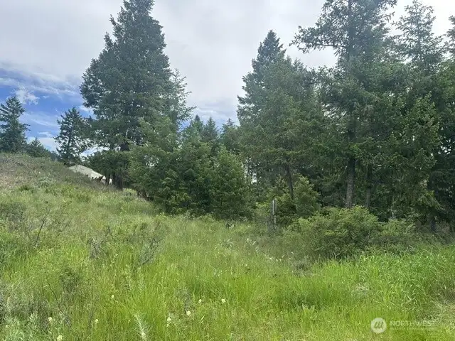 View from the north meadow looking southeast.
