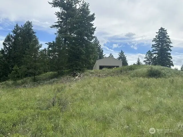 View from north meadow looking east.