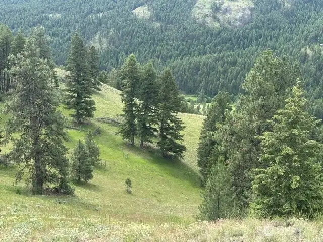 SE corner of the property in the distance from the Mt. top.