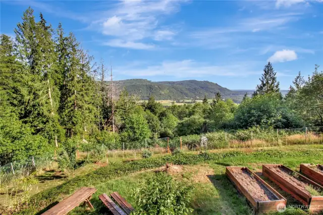 Fruit trees, raised garden beds
