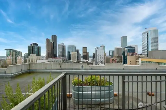 Check out the city view from the rooftop deck!