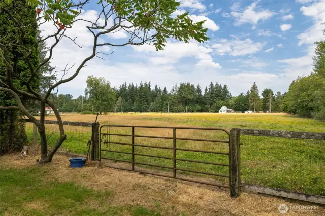 Another view of the large pasture.
