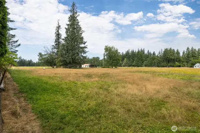 This is the large pasture to the north of the home.
