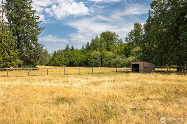 Looking across the middle pasture with the large pasture beyond.