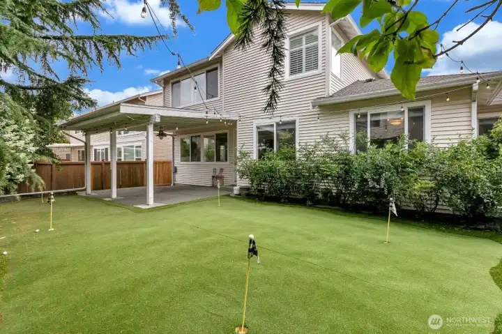 Astroturf yard with HUGE blueberry bushes.