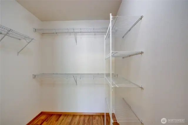 Walk in closet in Master