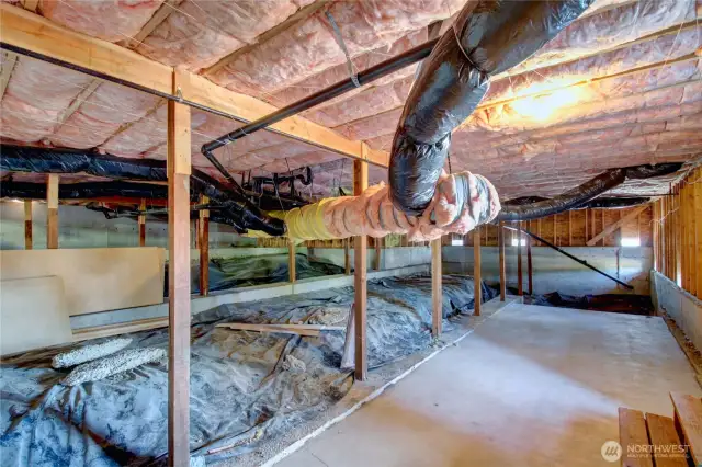 Huge Unfinished storage area/basement