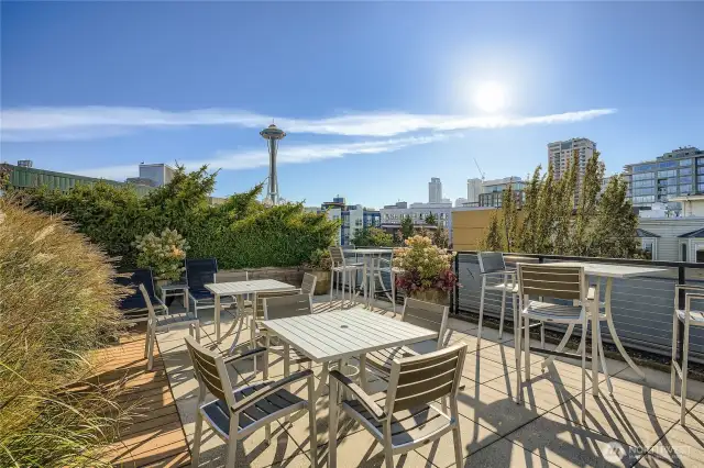 Iconic Space Needle view from roof deck