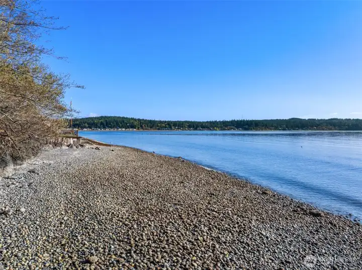 Walk for miles along the shores of Port Madison.