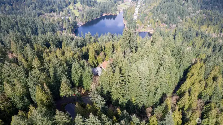 Quiet and private lot in the trees.