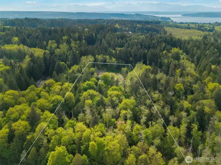 So much open space, a covered deck, a glass sunroom, gardens, professional landscaping, auto transfer generator, heat pump to keep you cool and space for RV/BOAT...shop potential?